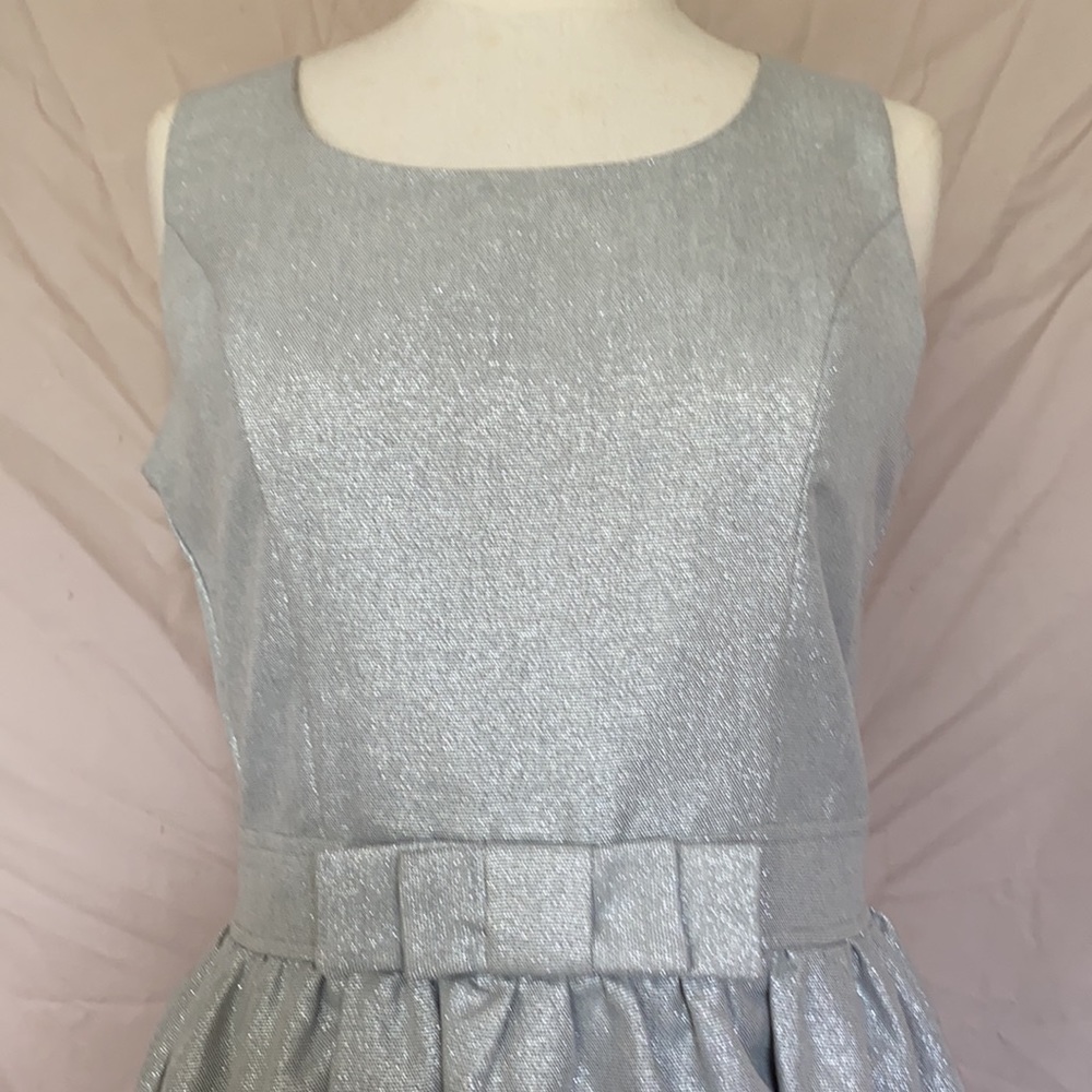 Sparkly sliver sleeveless dress, gently used